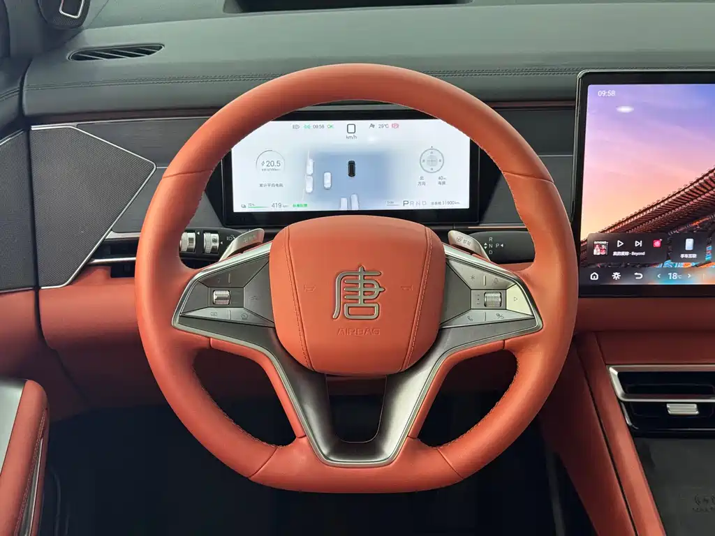 BYD Дон Л. — миниатюра 21