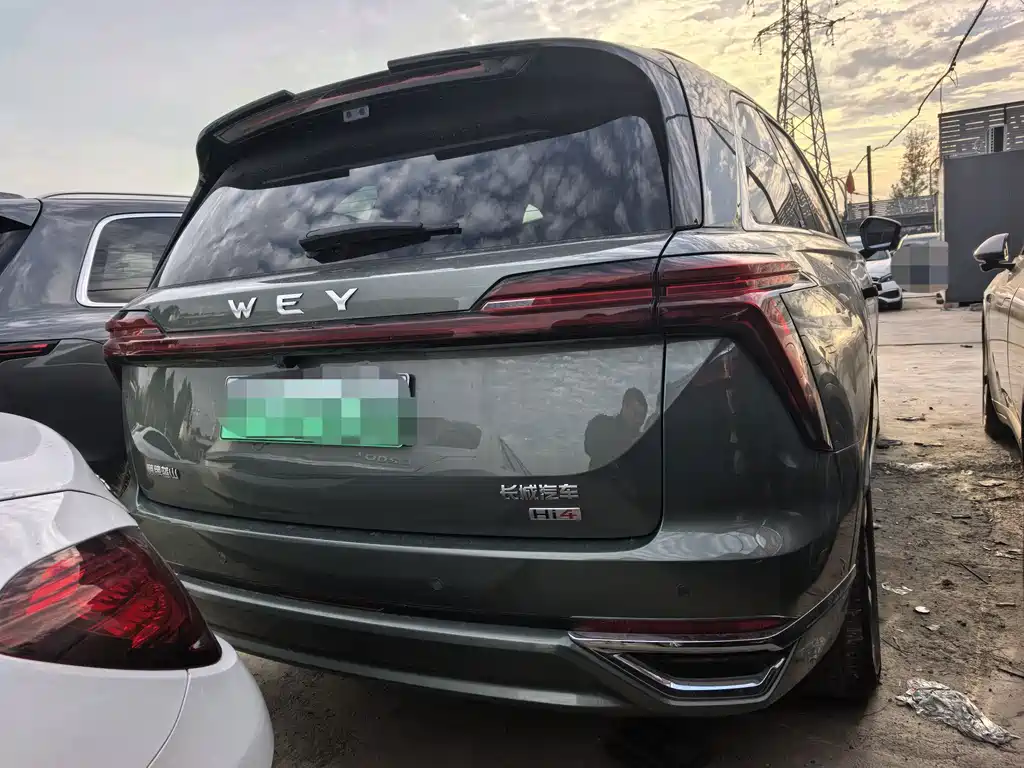 Wey Wey Lanshan — миниатюра 11