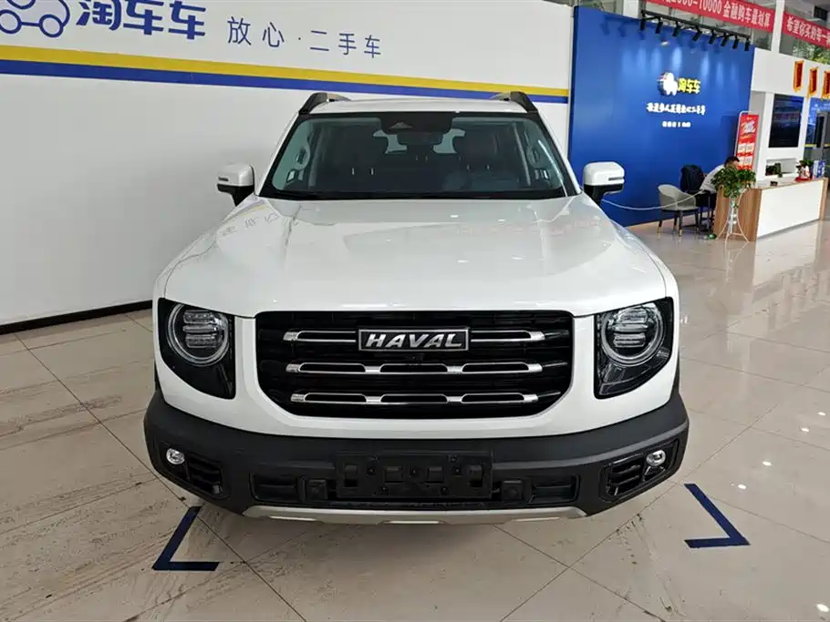 HAVAL BIG DOG