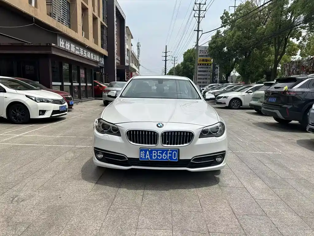 BMW 5 Series 525Li Luxury Design Package