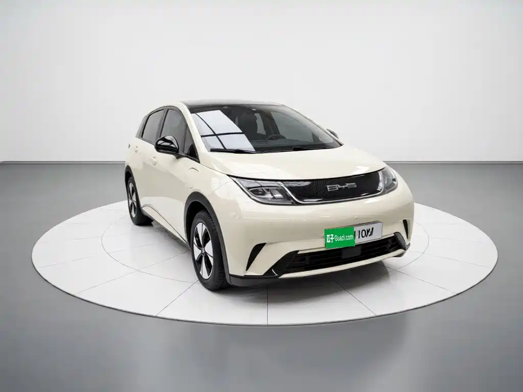 BYD Dolphin — миниатюра 3