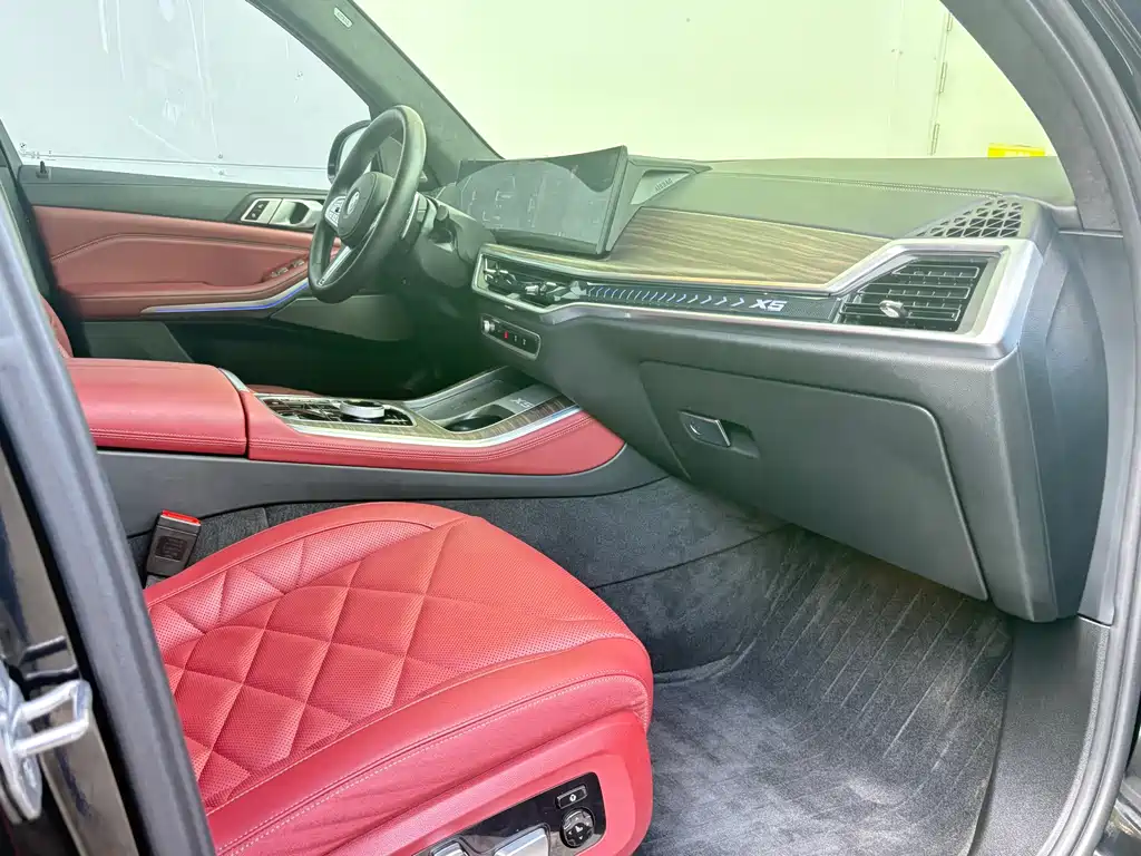 BMW X5 — миниатюра 10