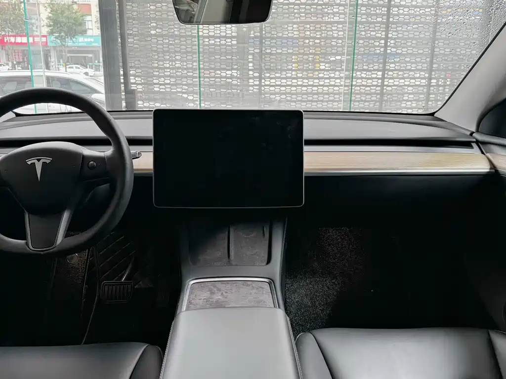 Tesla Model Y — миниатюра 13