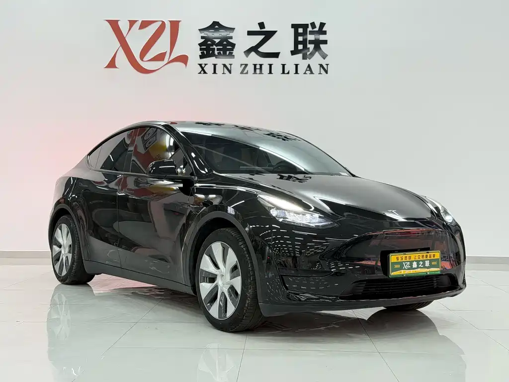 Tesla Model Y — миниатюра 3