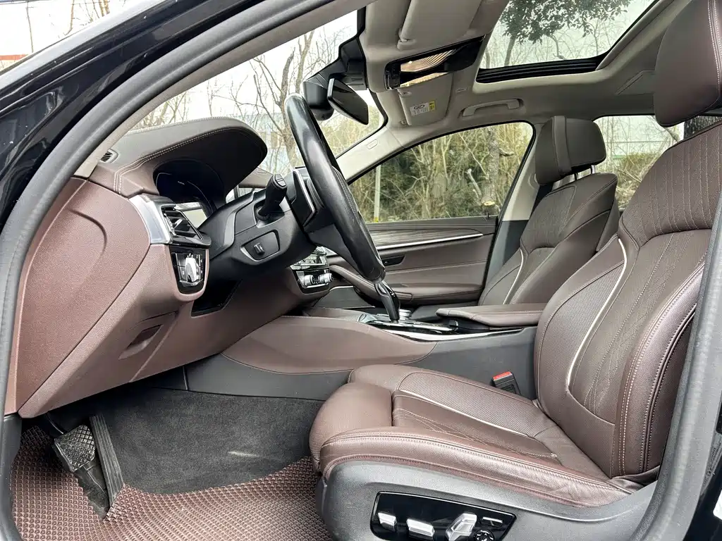 BMW 5 Series 5 2021 530Li Premium Luxury