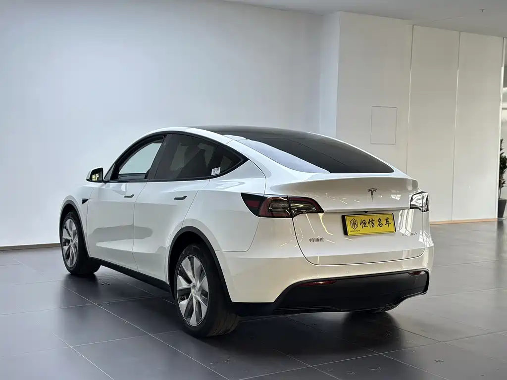 Tesla Model Y — миниатюра 5