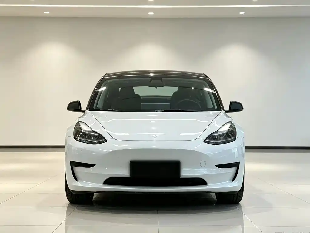 Tesla Model 3 — миниатюра 2