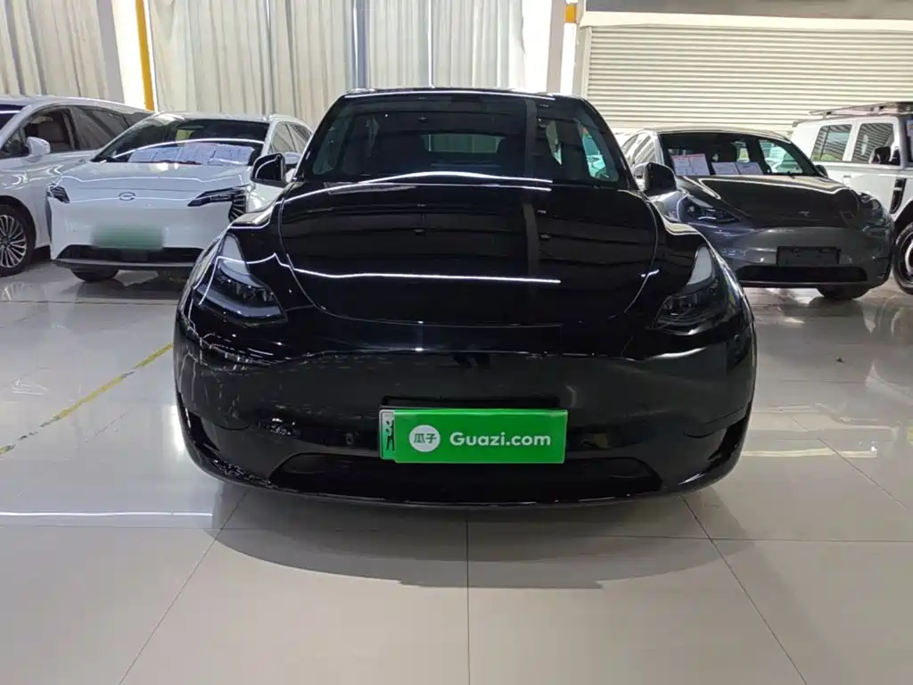 Tesla Model Y — миниатюра 3