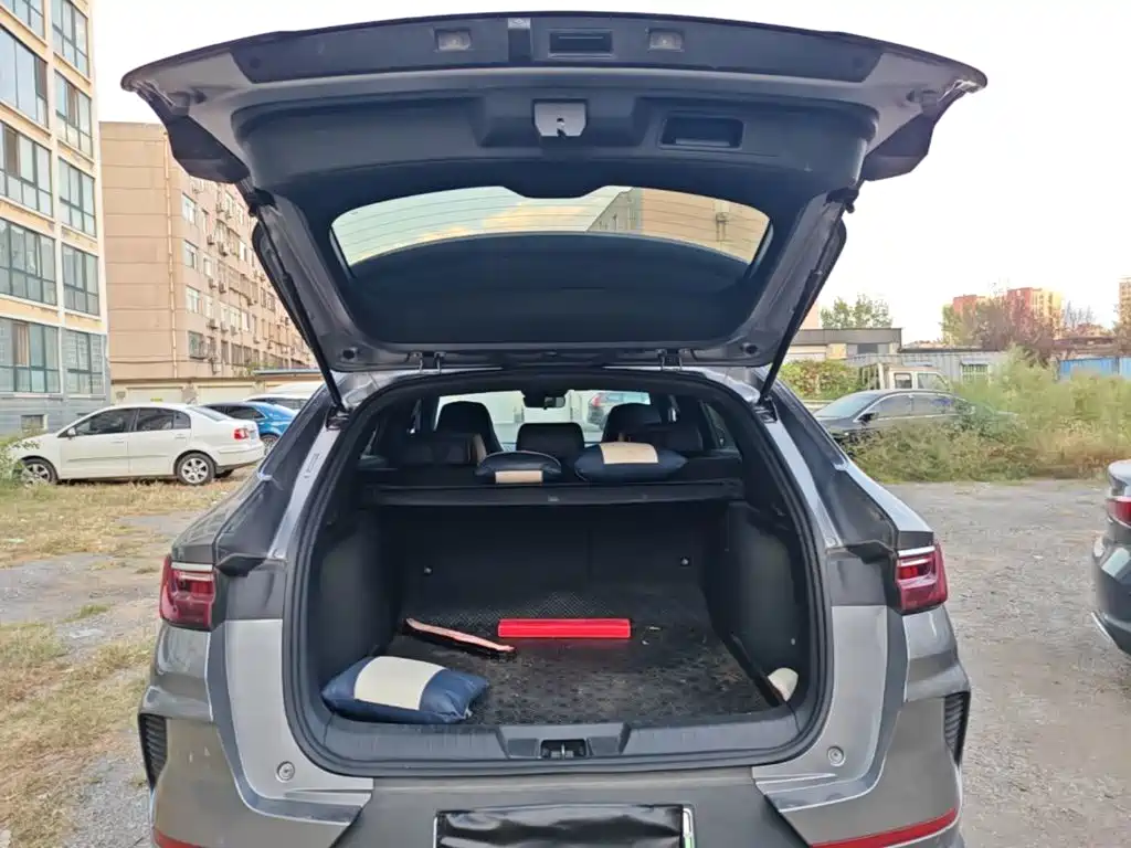 BYD PLUS New Energy — миниатюра 19