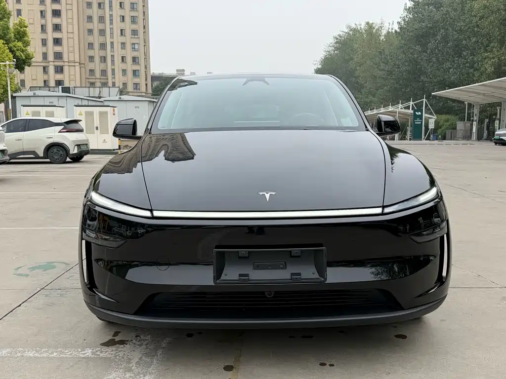 Tesla Model Y — миниатюра 2