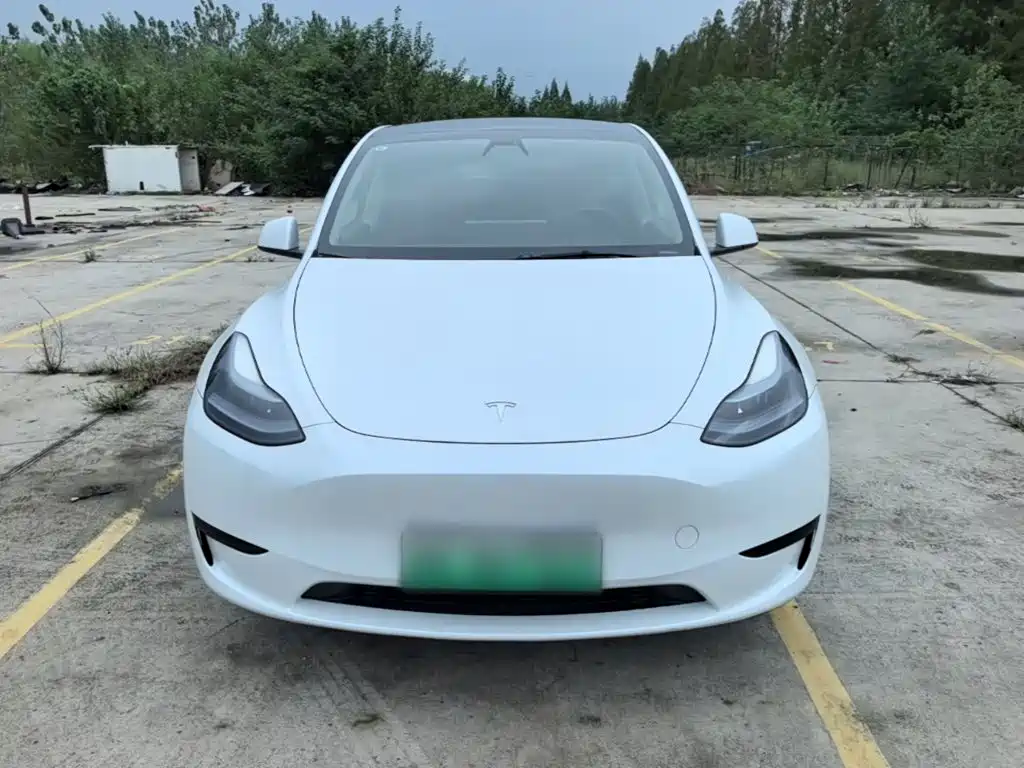 Tesla Model Y — миниатюра 3
