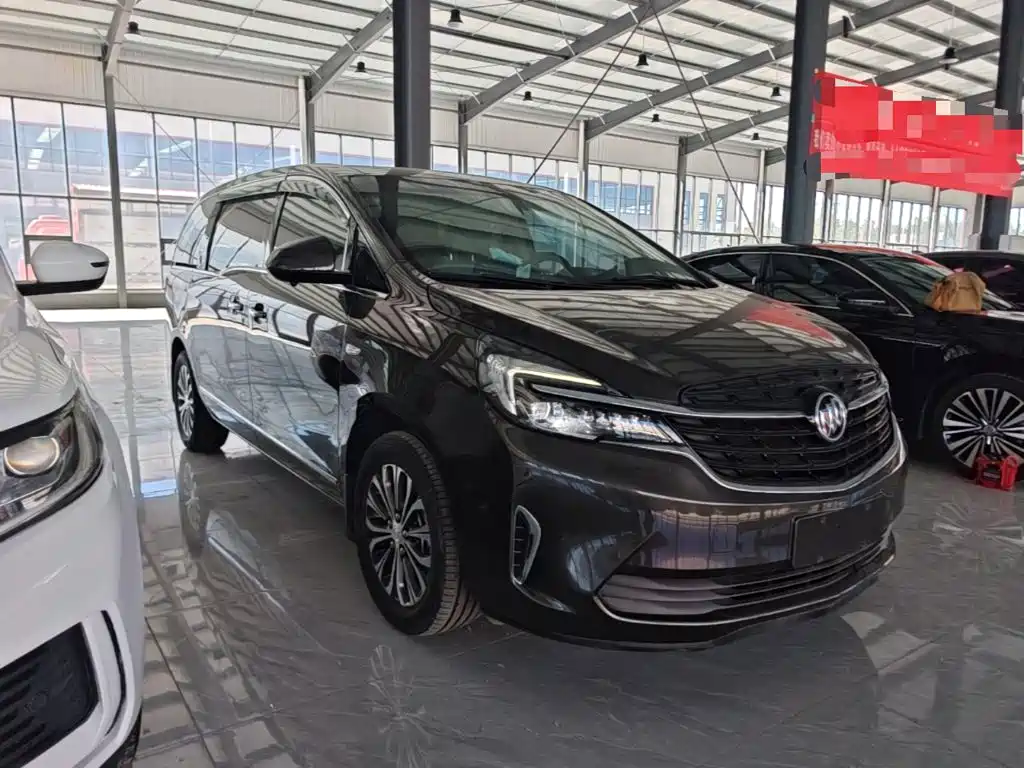 Buick GL8 — миниатюра 4
