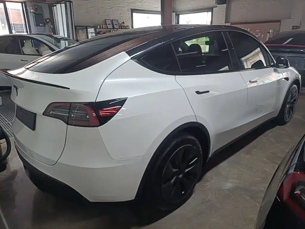 Tesla Model Y — миниатюра 7
