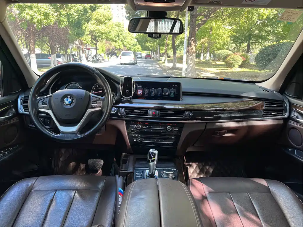 BMW X5 (Import) — миниатюра 8