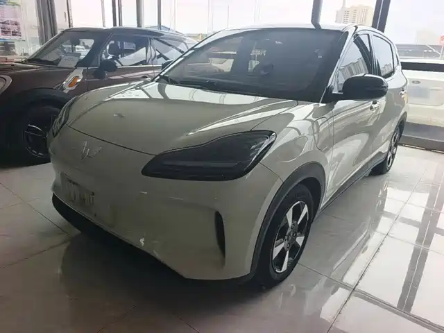 2025 Wuling Motors Binguo