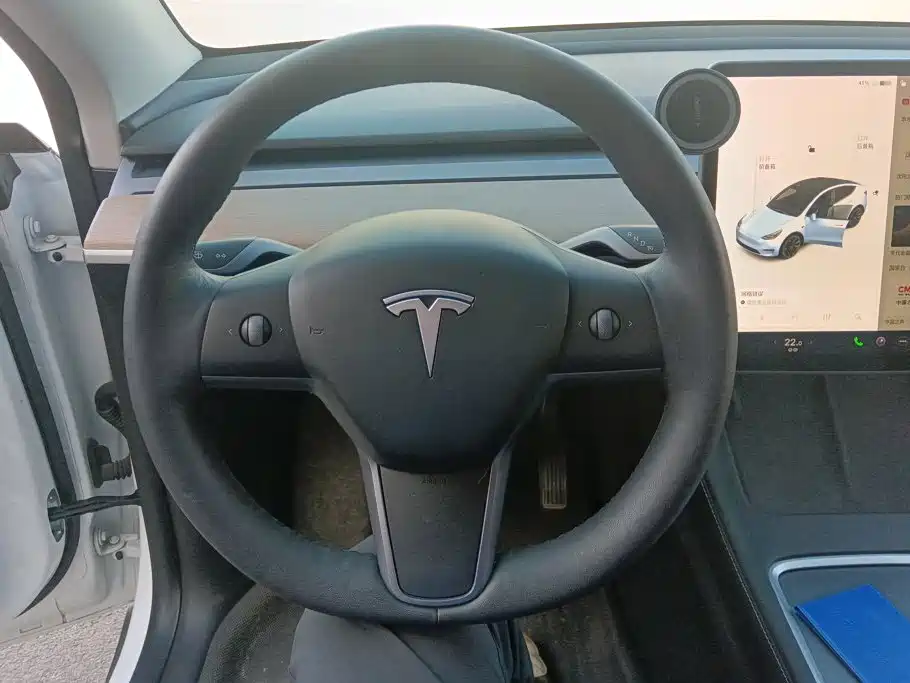 Tesla Model Y — миниатюра 15