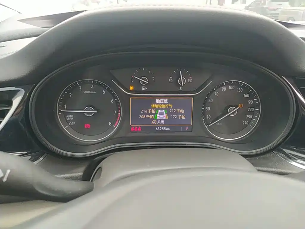 Buick Regal — миниатюра 12