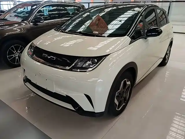 2023 BYD Dolphin