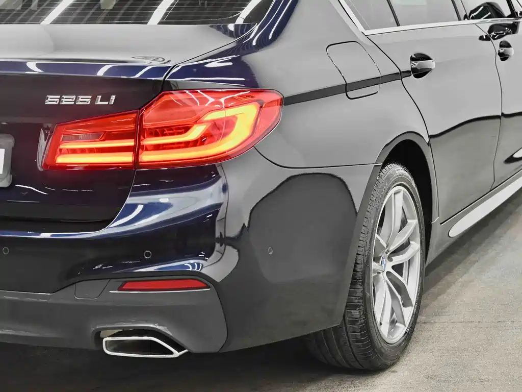 BMW 5 Series — миниатюра 3