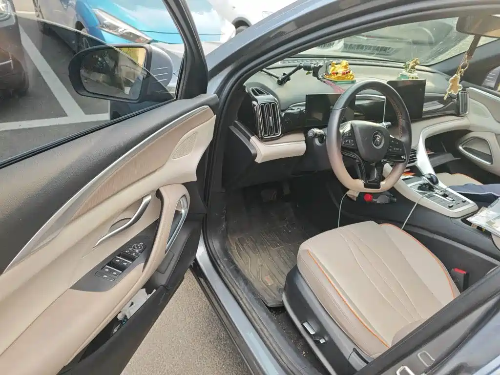 BYD Pro New Energy — миниатюра 12