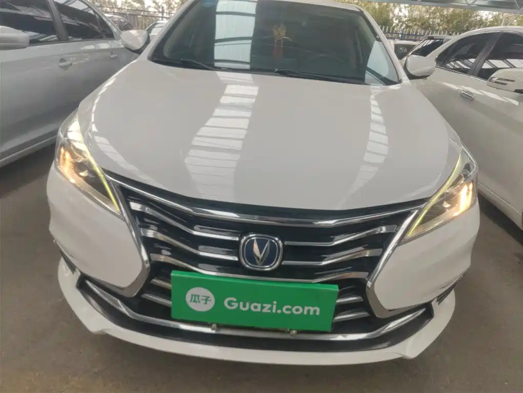CHANGAN YIDONG DT