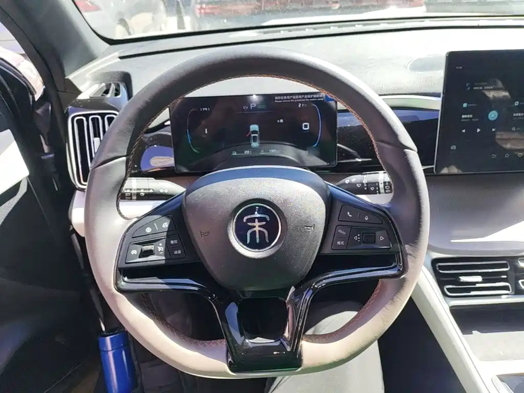 BYD Pro New Energy — миниатюра 11