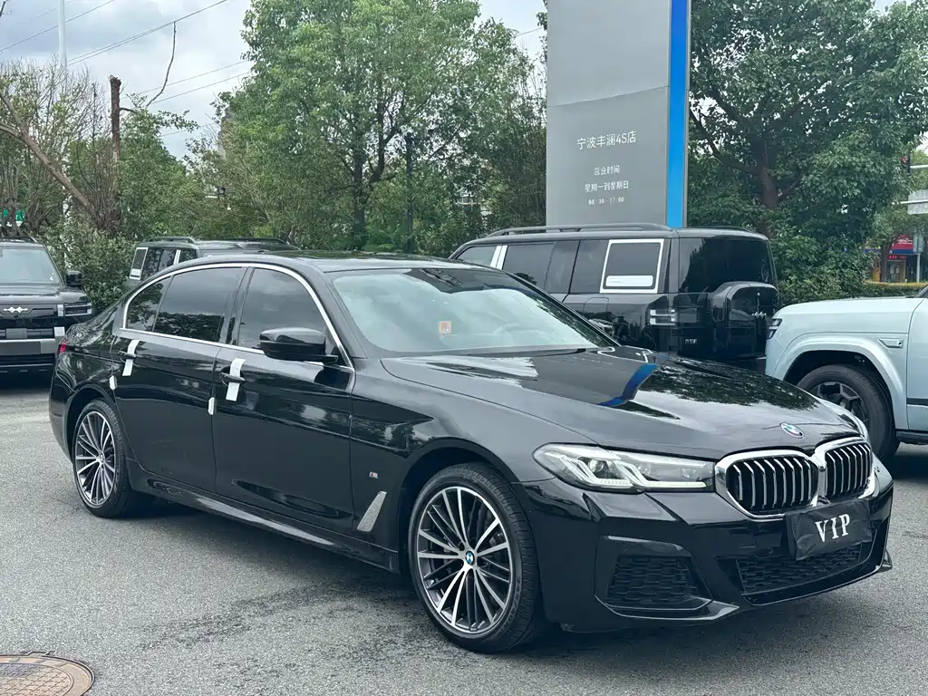 BMW 5 Series — миниатюра 3