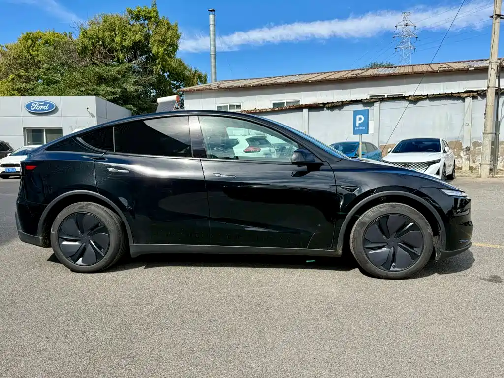 Tesla Model Y — миниатюра 5