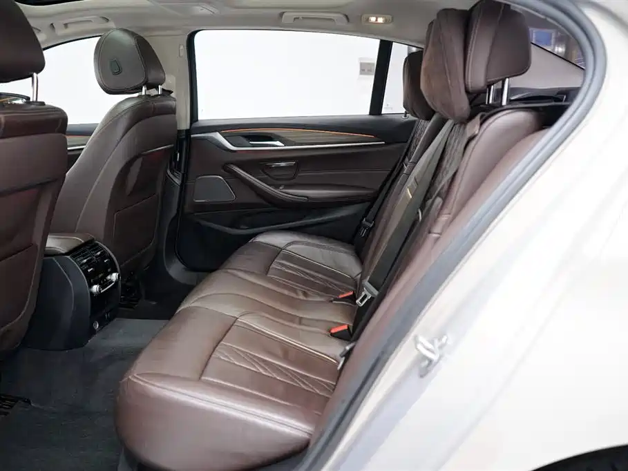 BMW 5 Series 5 2019 530Li Premium Luxury