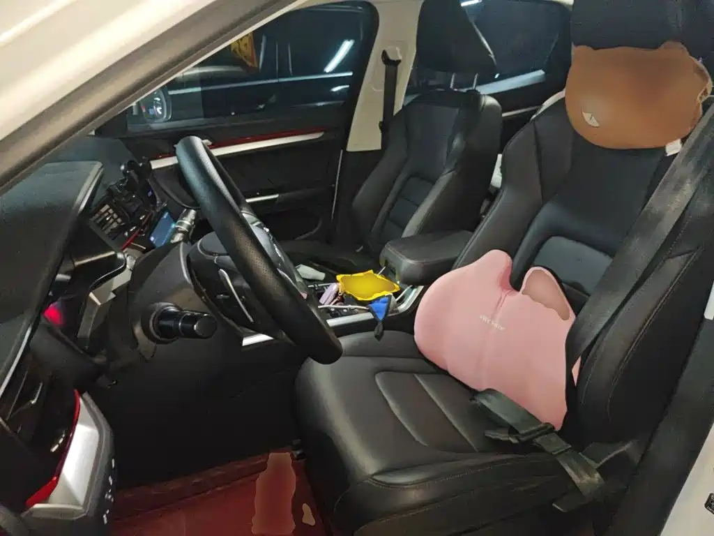 Haval H4 — миниатюра 11