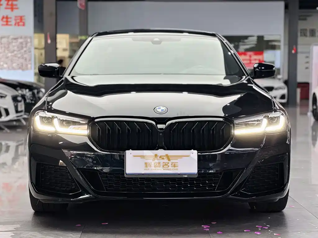 BMW 5 Series — миниатюра 2