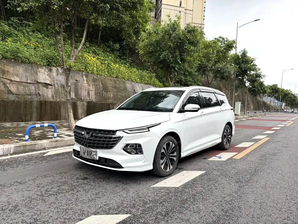 Wuling Victory 2022