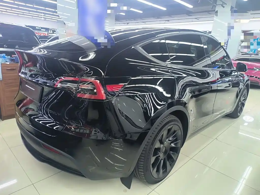 Tesla Model Y — миниатюра 7