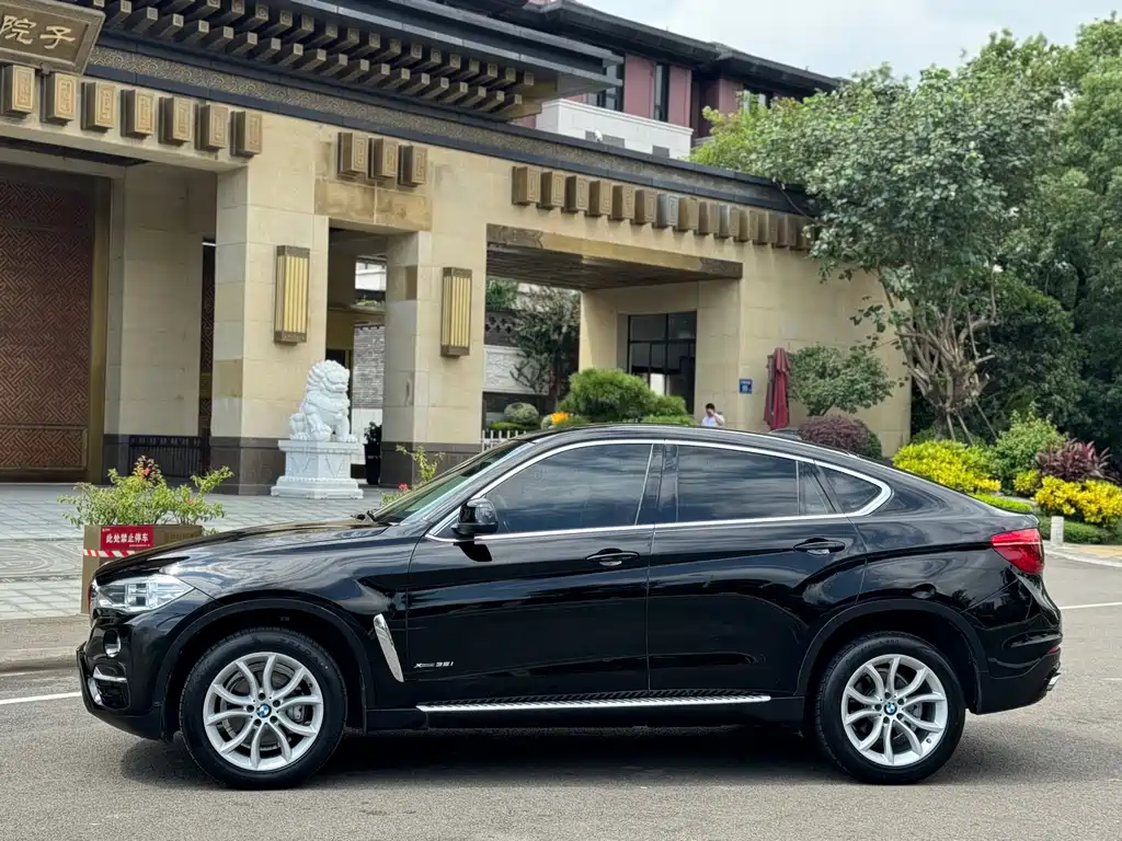 BMW X6 — миниатюра 14