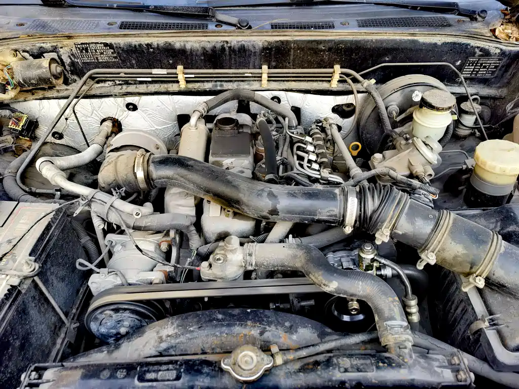 JIANGLING COLLECTION