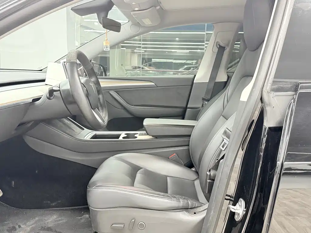 Tesla Model Y — миниатюра 5