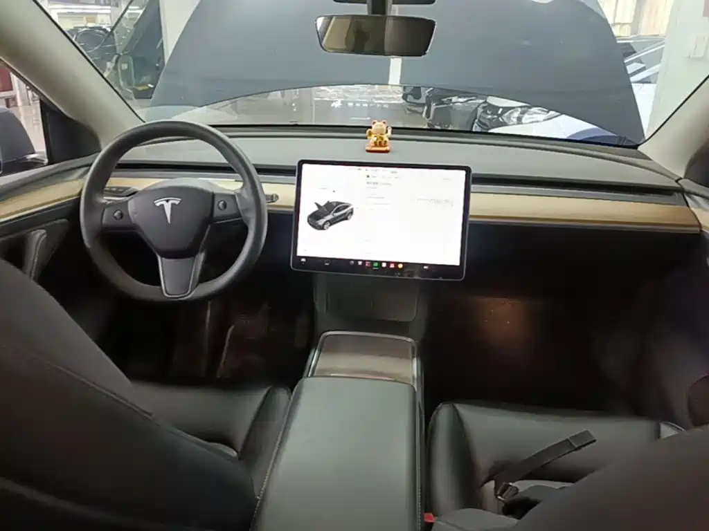 Tesla Model Y — миниатюра 9