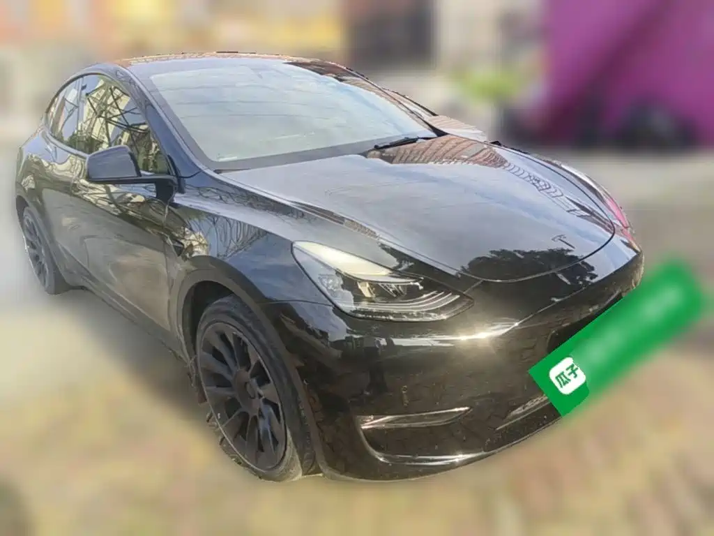 Tesla Model Y — миниатюра 6