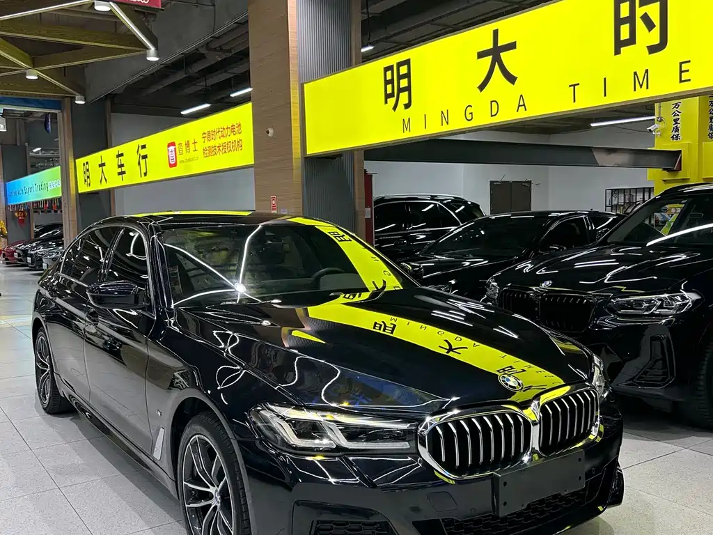 BMW 5 Series — миниатюра 3