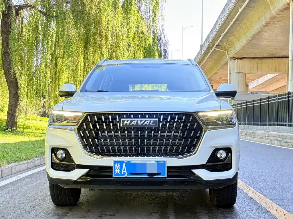 Haval H6 — миниатюра 2