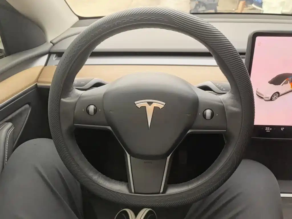 Tesla Model Y — миниатюра 11
