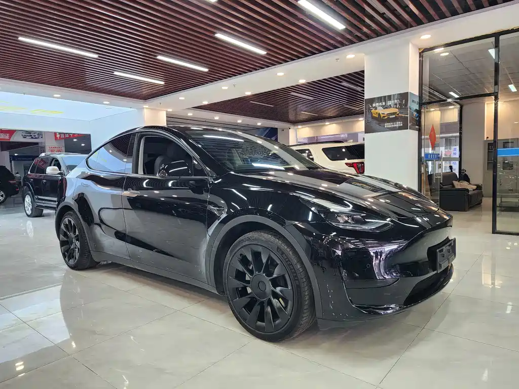 Tesla Model Y — миниатюра 3