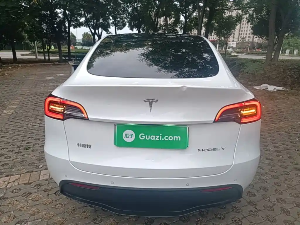 Tesla Model Y — миниатюра 6