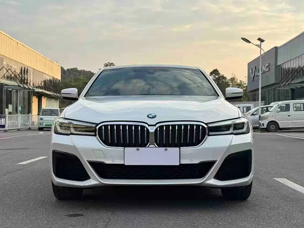 BMW 5 Series — миниатюра 4