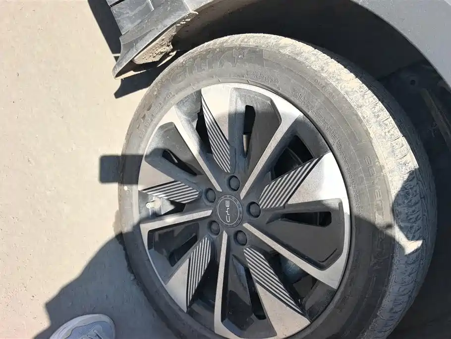 BYD SONGJIANG NEW ENERGY