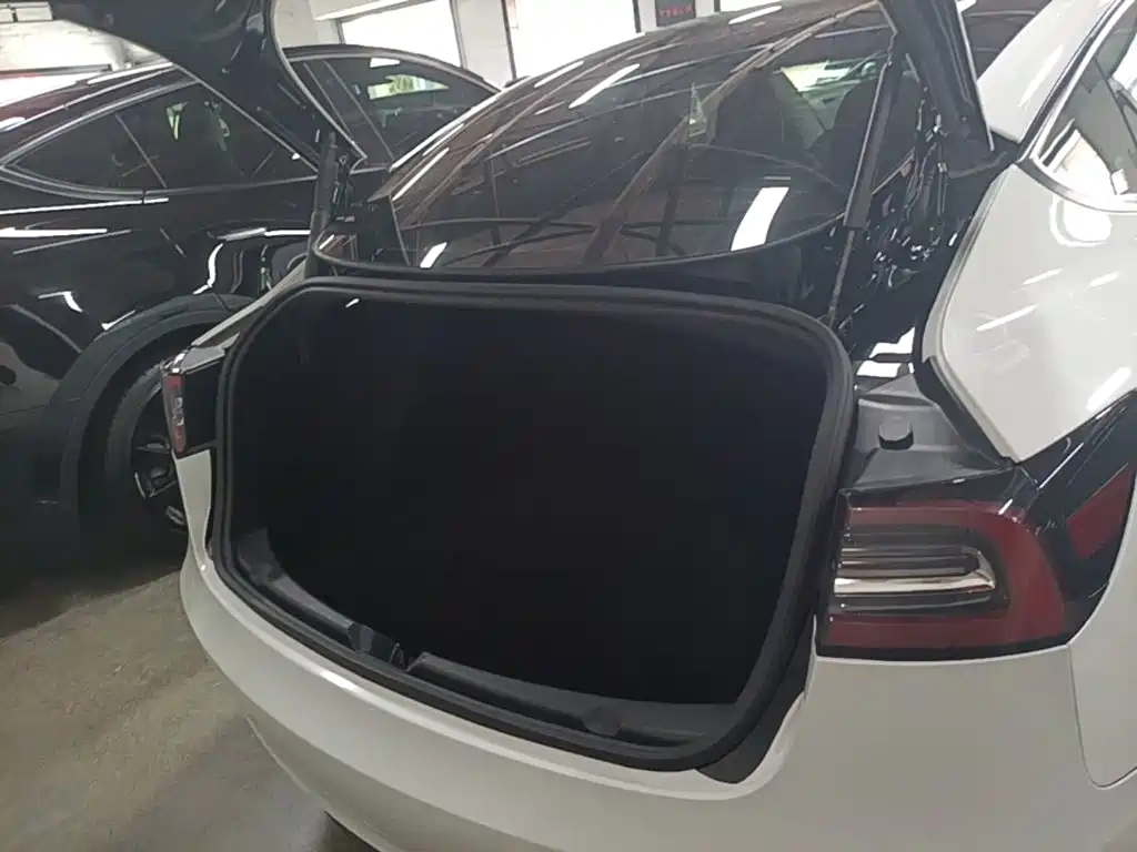 Tesla Model 3 — миниатюра 19