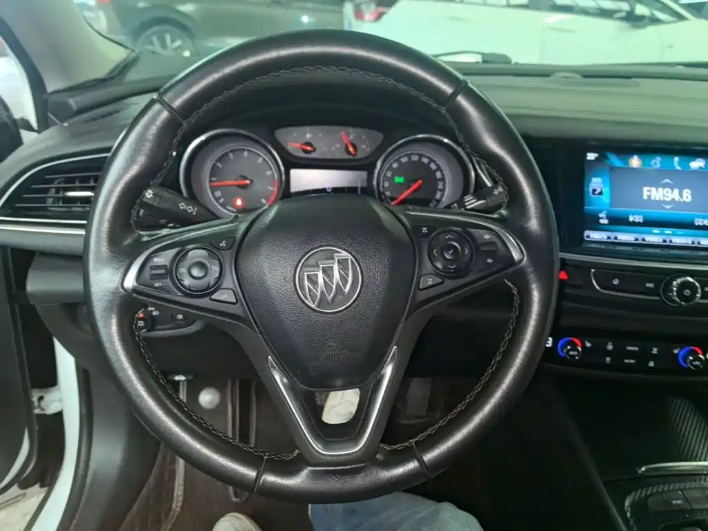 Buick Regal — миниатюра 11