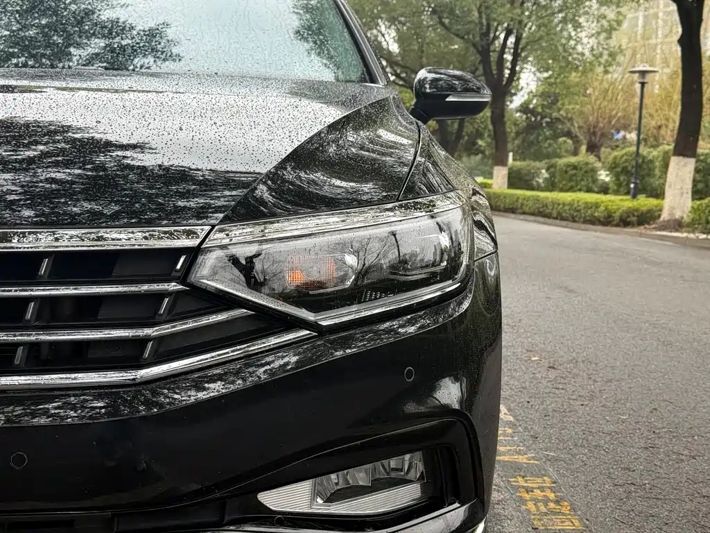 Volkswagen Magotan 2020 330TSI DSG Luxury