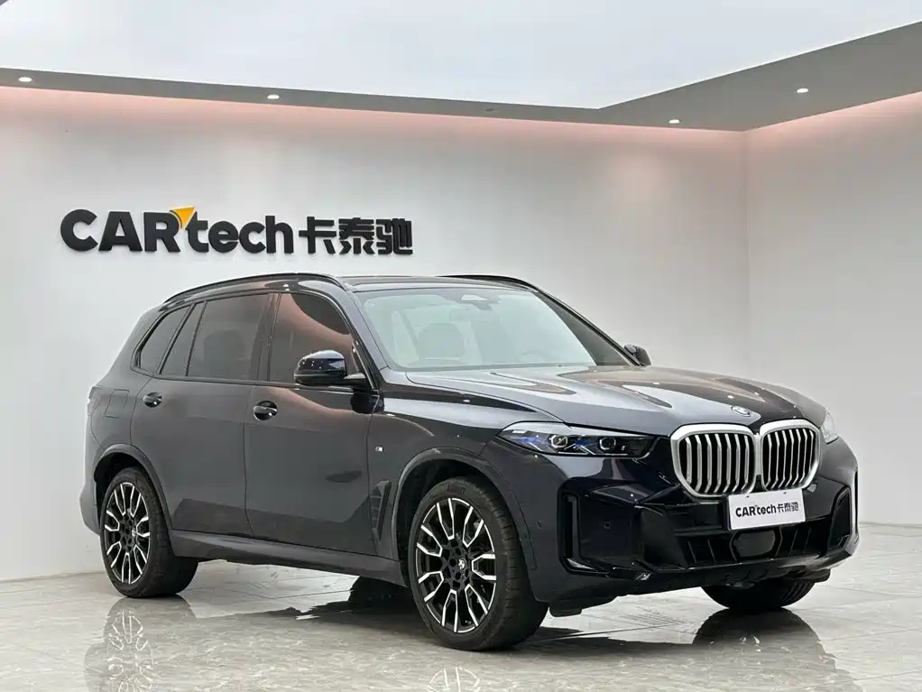 BMW X5 — миниатюра 6