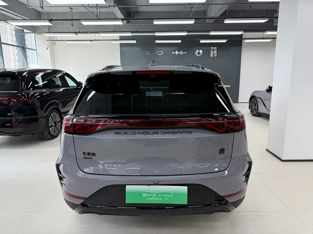 BYD Tang New Energy — миниатюра 5